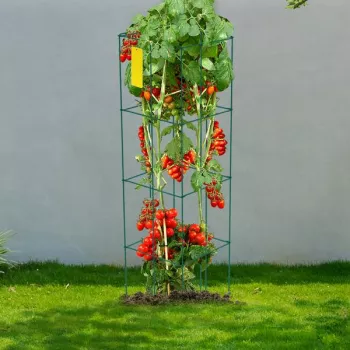 Heavy-Duty Tomato Cages: Strong Support for Climbing Vines